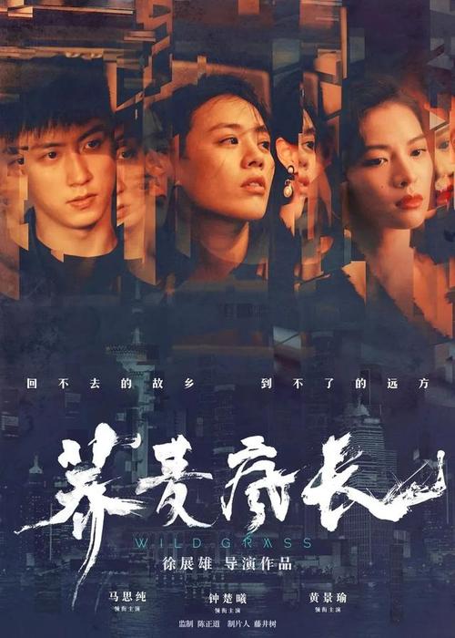 高仿B超单